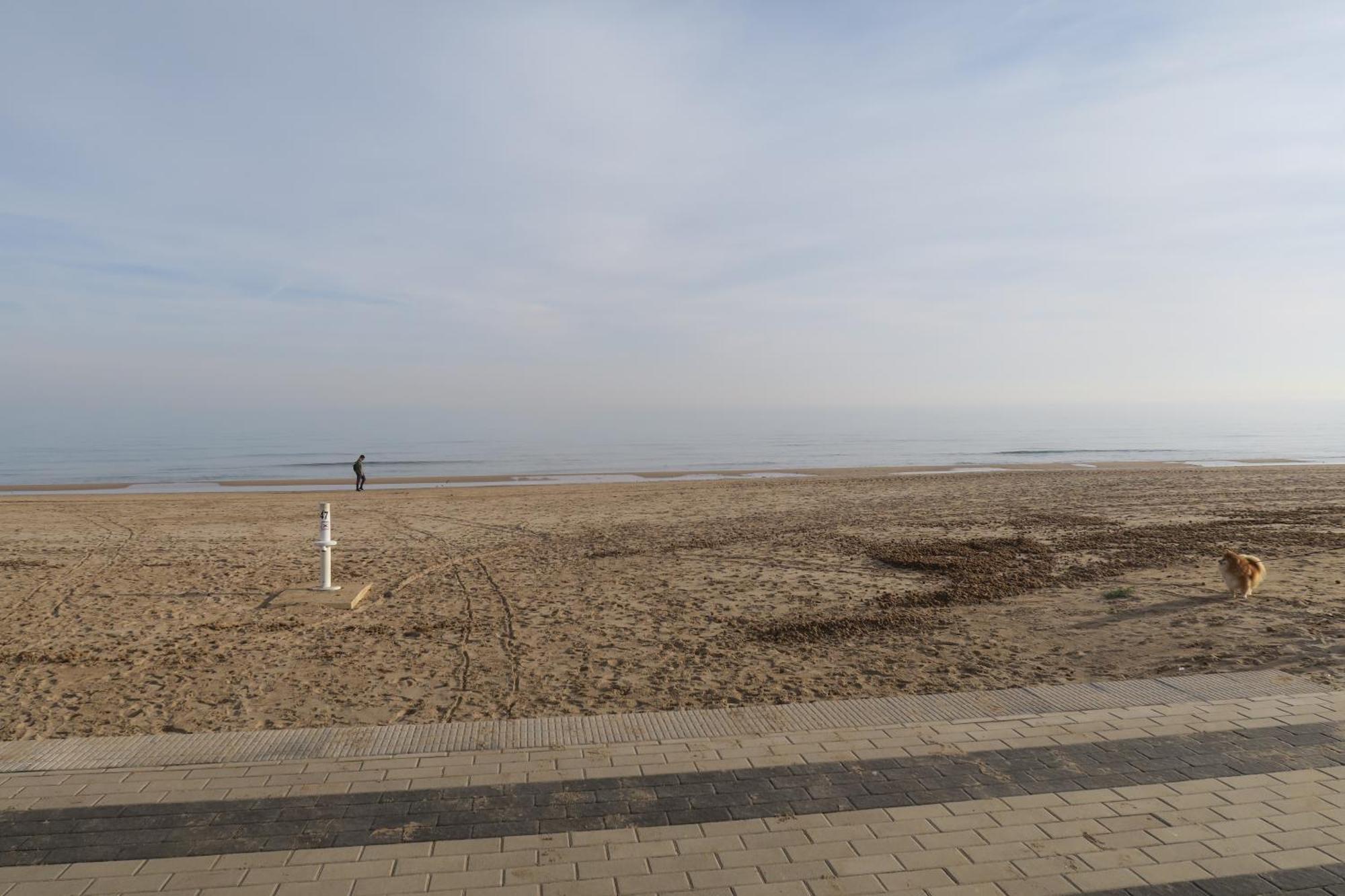 Apartament A 50 Metros Del Mar Oliva Zewnętrze zdjęcie